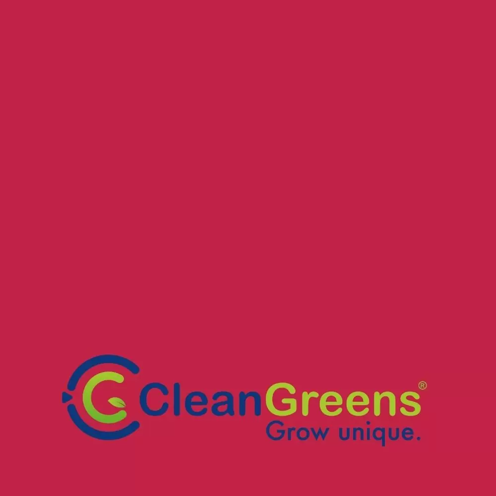 blog-cleangreens.jpg